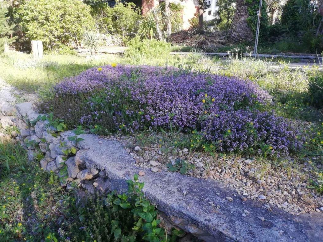 Charming Apartments With Garden Bol Esterno foto